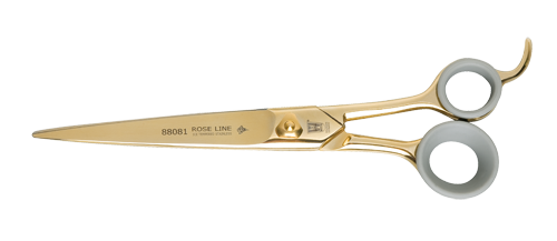 rl88081