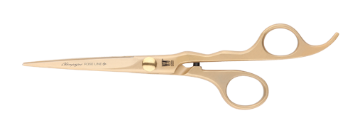sr751