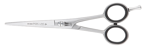 rl81355